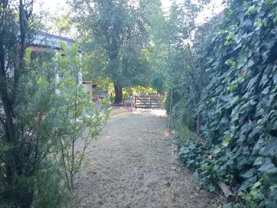 a garden with a fence and a yard with trees at La tranquera in Trapiche