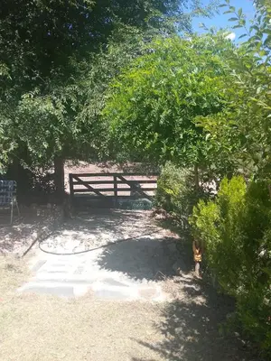 a bench in a park with a cat under a tree at La tranquera in Trapiche