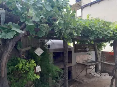a pergola with green ivy growing on it at Cactus in Villa Carlos Paz