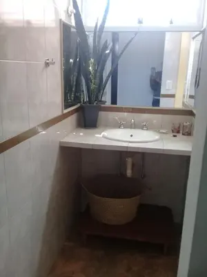 a bathroom with a sink and a potted plant at Cactus in Villa Carlos Paz