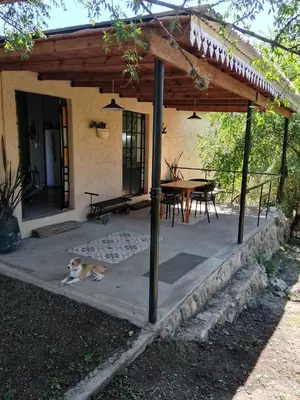 a dog laying on a patio in front of a house at El Chañar in Cordoba
