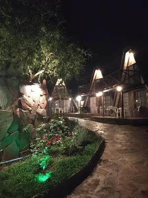 a garden at night with lights in front of a building at Complejo alpinas del valle in Santa Rosa de Calamuchita