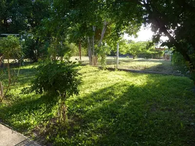 a green yard with a fence and a tree at MariaAurelia in Mina Clavero
