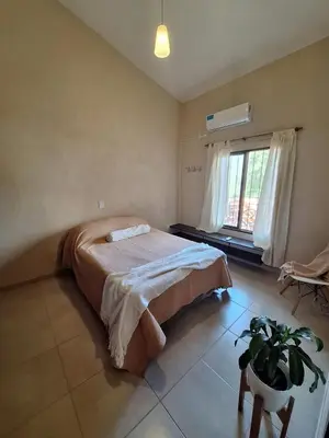 a bedroom with a bed and a potted plant at Estancia del Alma in Villa Carlos Paz