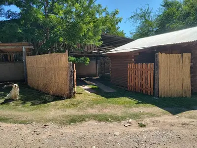 a dog sitting next to a fence next to a house at Cabana Consuelo in San Roque