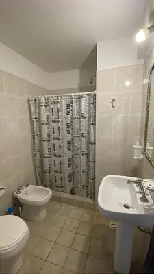 a bathroom with a toilet sink and a shower curtain at Departamento hasta 4 personas Villa Dolores in Villa Dolores