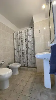 a bathroom with a toilet and a sink and a shower curtain at Departamento hasta 4 personas Villa Dolores in Villa Dolores