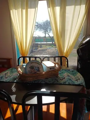 a basket of books on a table in front of a window at DoñaMaria in Santa Rosa de Calamuchita