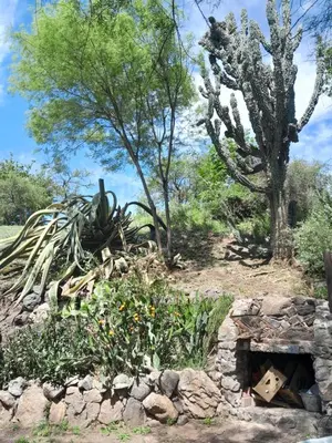 a stone fireplace in a garden with trees and plants at La Loma in Villa del Dique