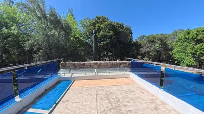 a swimming pool with blue water and trees at Zeus in Las Chacras (La Paz)