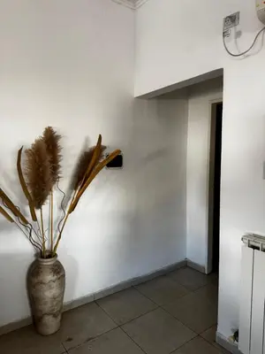 a vase with a plant in the corner of a room at Santa Rita Loft in Villa Carlos Paz