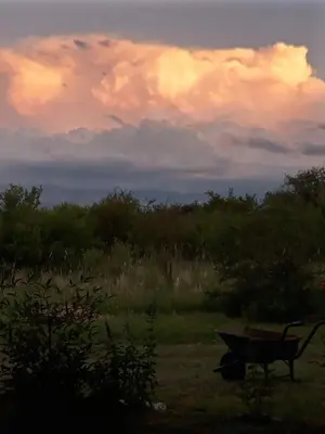 a wheelbarrow in a field with a cloudy sky at Inambú in Villa Cura Brochero