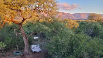a white bench sitting next to a tree at Cabañas Sacha Huasi in Travesía