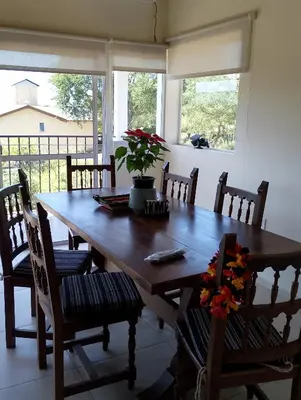 a dining room table with a potted plant on it at Wualküre, acogedora cabaña en Villa General Belgrano in Villa General Belgrano