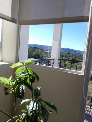 a plant on a balcony with a view of the mountains at Wualküre, acogedora cabaña en Villa General Belgrano in Villa General Belgrano