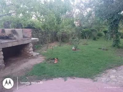 a dog laying in the grass in a yard at El Descanso in Nono