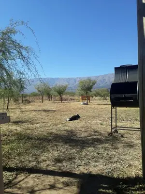 a dog laying on the ground in a field at Complejo Ayün in Travesía