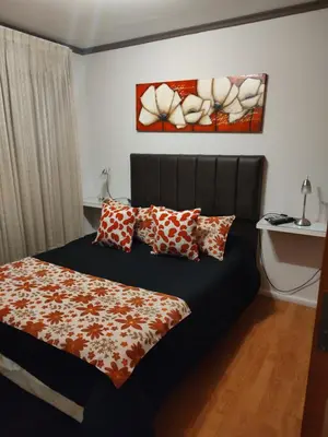 a bedroom with a bed with pillows on it at Apartamento Baykus in Cordoba