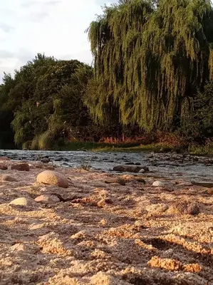 a beach with rocks and a tree and water at Casa de campo La Chunia in Villa Cura Brochero
