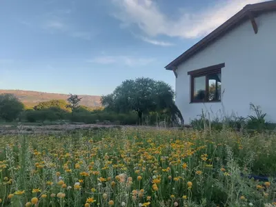 a field of flowers in front of a house at Casa de campo La Chunia in Villa Cura Brochero
