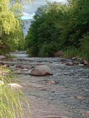 a river with rocks and trees in the middle at Tacuarita in Los Hornillos