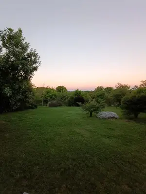 a field of grass with trees and bushes at El Algarrobo Casa de campo en Cabalango in Cavalango