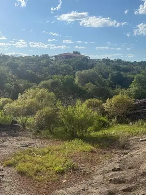 a house on top of a hill with trees at Cabaña Los Nogales- Naturaleza y relax en Altas Cumbres in Arroyo de Los Patos