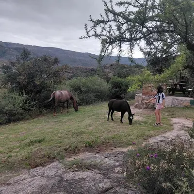 two horses grazing in a field with a girl at Cabaña Los Nogales- Naturaleza y relax en Altas Cumbres in Arroyo de Los Patos