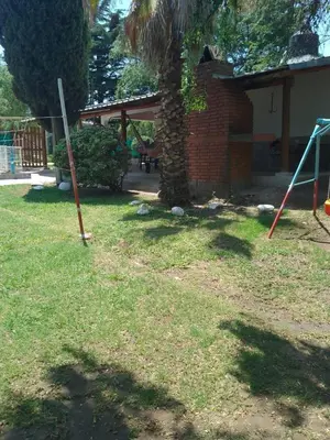 a yard with a palm tree and two swings at casa para 12 personas en bialet in San Roque