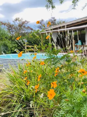 a bush with orange flowers in front of a house at Glamping Traslasierra Carpa Sur in San Javier
