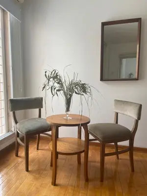 a table with two chairs and a vase with a plant at Departamento Nuñez in Cordoba