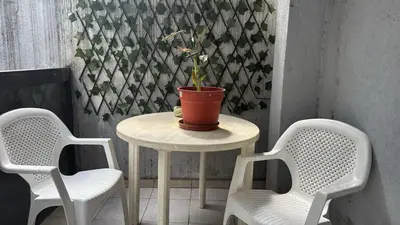 a table with a potted plant on it with two chairs at Hermoso Dpto Nva Cordoba in Cordoba