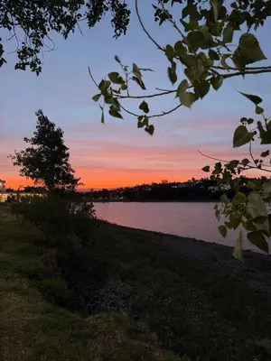 a sunset over a body of water with a tree at Hotel Centro SJ in Villa Carlos Paz