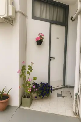 a door with flowers and plants in a room at Hotel Centro SJ in Villa Carlos Paz