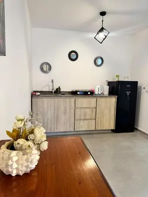a kitchen with a refrigerator and a vase of flowers on a table at Moderno dpto zona norte 1 dorm in Cordoba