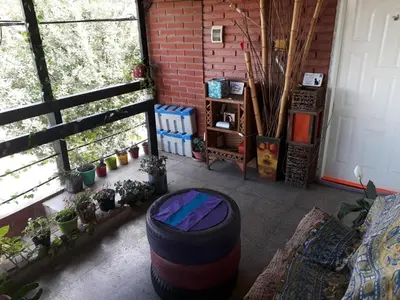 a living room with plants and a large tire at Arturo in Cordoba