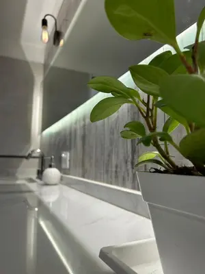 a plant sitting on a counter next to a sink at Disfruta casa de bosque a metros de AV San martin y minutos del lago in Villa Carlos Paz
