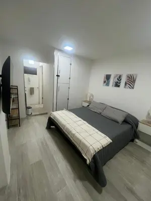 a bedroom with a large bed in a room at Monoambiente centro Carlos Paz in Villa Carlos Paz