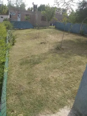 a yard with two trees in it with a fence at Portal del rio mina clavero in Mina Clavero
