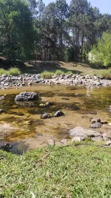 a river with rocks andgrass in a field at La Calma, casa de Rio in Los Reartes