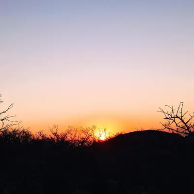 a sunset on top of a hill with trees at Tintitacos in Los Hornillos