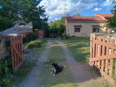 a dog laying on the ground next to a fence at Casa Los Naranjos in La Paz