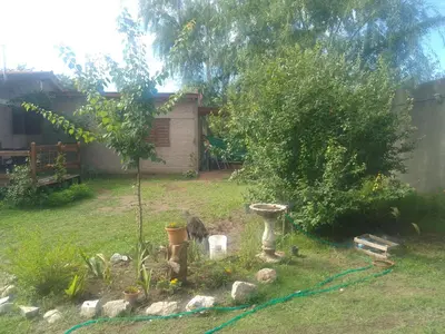 a garden with a tree and a garden hose at Depto Calamuchita Rumipal in Villa Rumipal