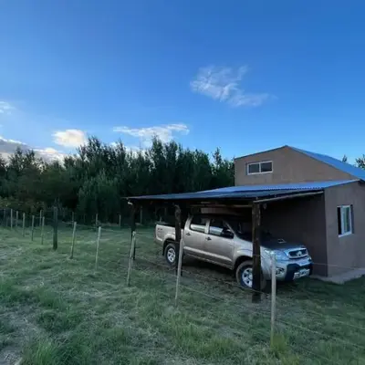 El limón
