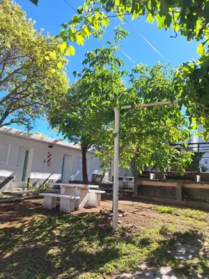 a tree and benches in front of a building at Departamentos y habitaciones en Mina Clavero in Mina Clavero