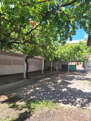 a group of trees in front of a building at Departamentos y habitaciones en Mina Clavero in Mina Clavero