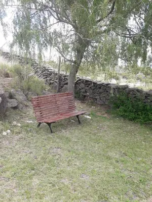 a wooden bench sitting under a tree next to a stone wall at Cabañas San Gerónimo in San Jerónimo