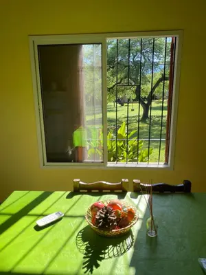 a bowl of fruit on a table in front of a window at Las Luciernagas de Nono in Nono