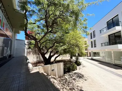 a tree in the middle of a sidewalk next to a building at Edifico NAMBA in Villa Carlos Paz