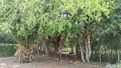 a park with a bench under a group of trees at Lo de la Abu in Villa de Las Rosas